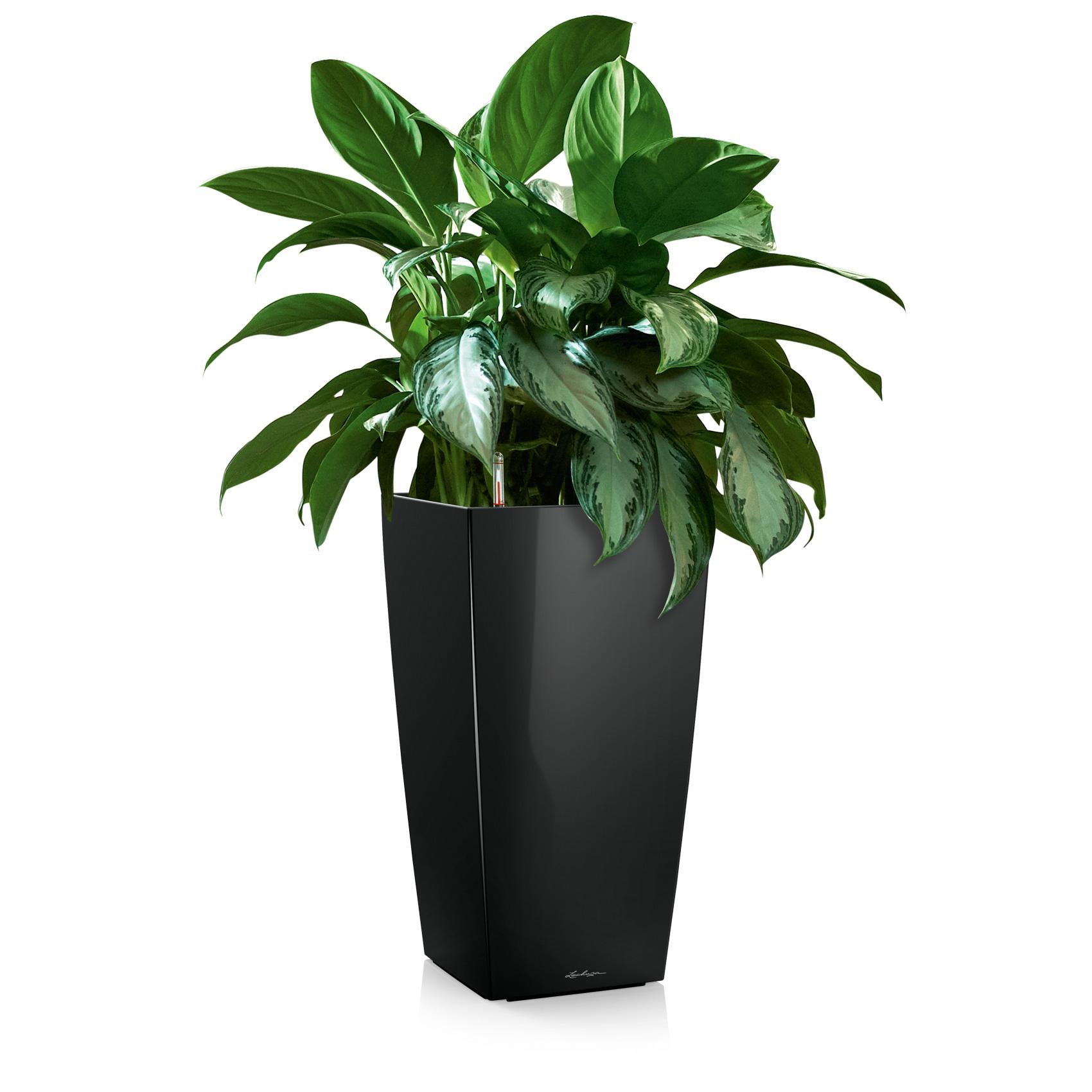 CUBICO 30 black high-gloss
